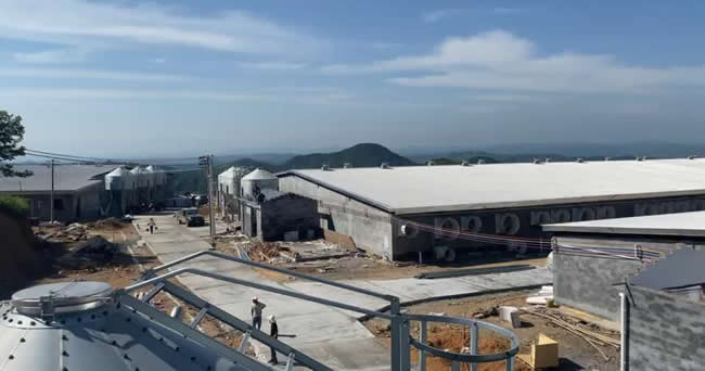 湖南永興縣57600頭生豬養殖基地