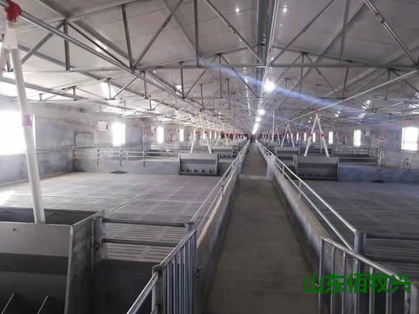 內蒙王總新建規模育肥舍