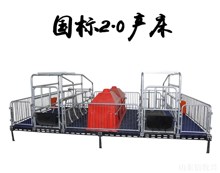 國標2.0雙體母豬產床