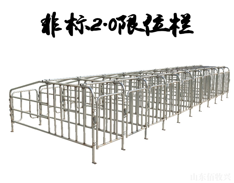 非標2.0母豬限位欄