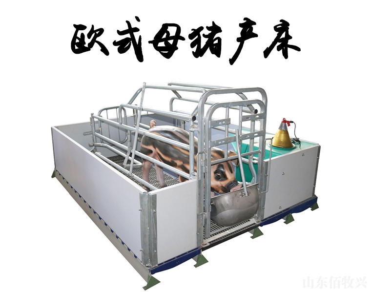 歐式母豬產床