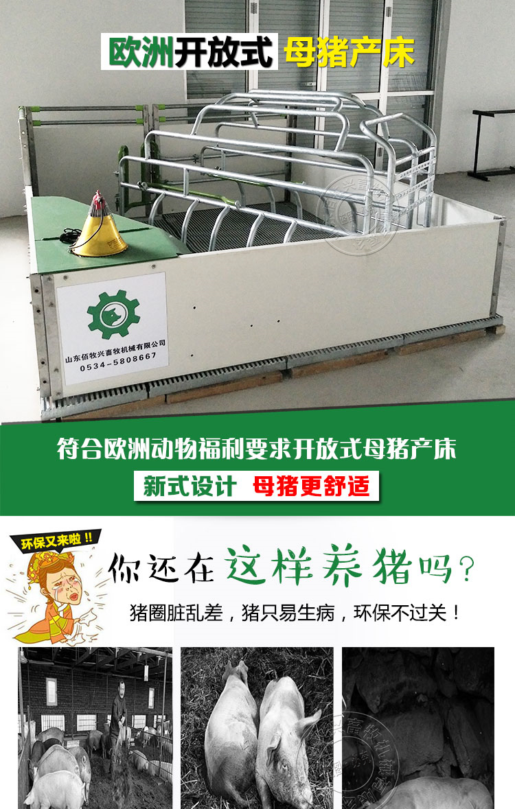 歐式母豬產床
