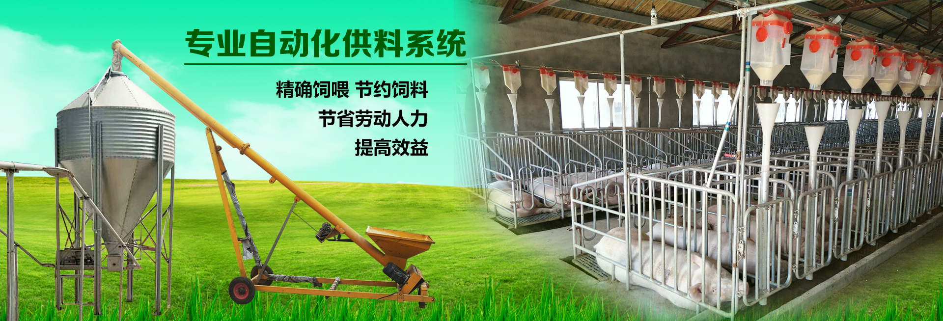 山東佰牧興豬場自動上料設備