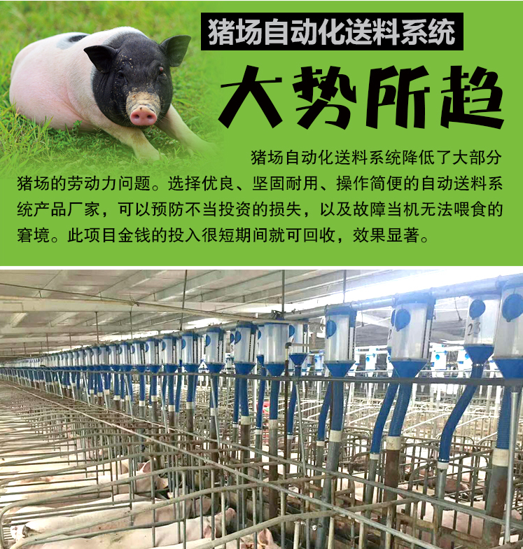 佰牧興自動上料系統