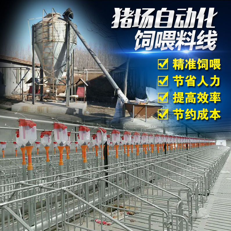 佰牧興自動上料系統