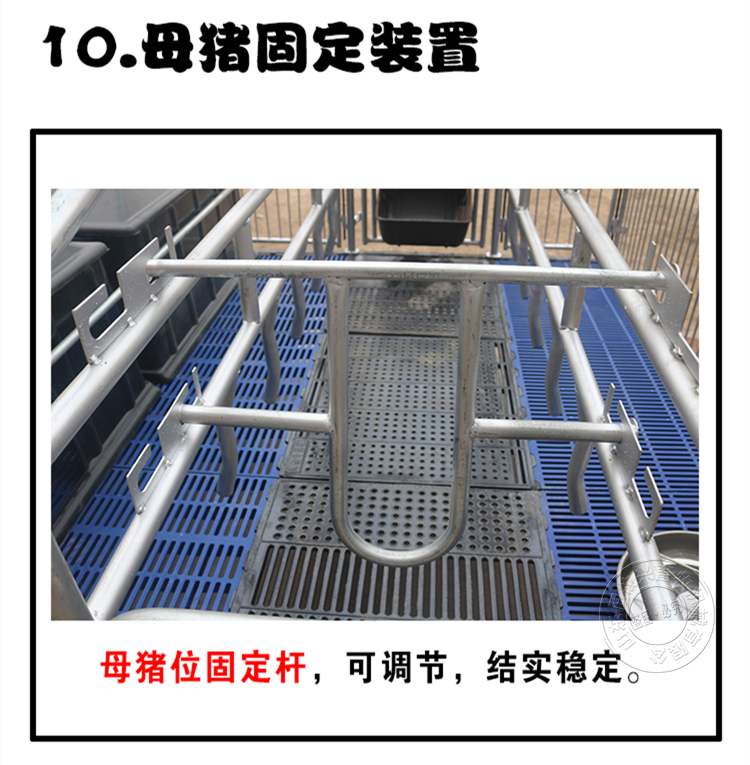 國標2.5母豬產床