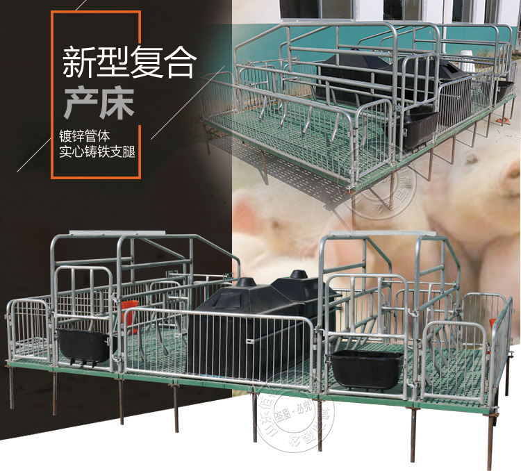 山東佰牧興全復合雙體母豬產床 
