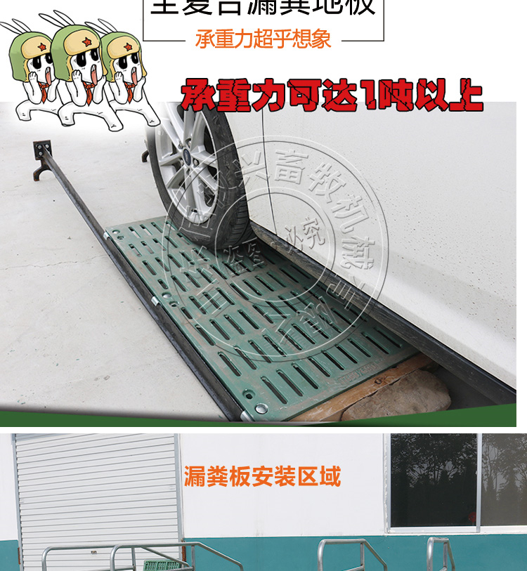 山東佰牧興全復合雙體母豬產床 