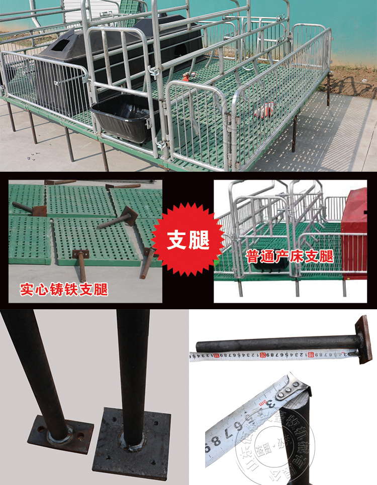 山東佰牧興全復合雙體母豬產床 