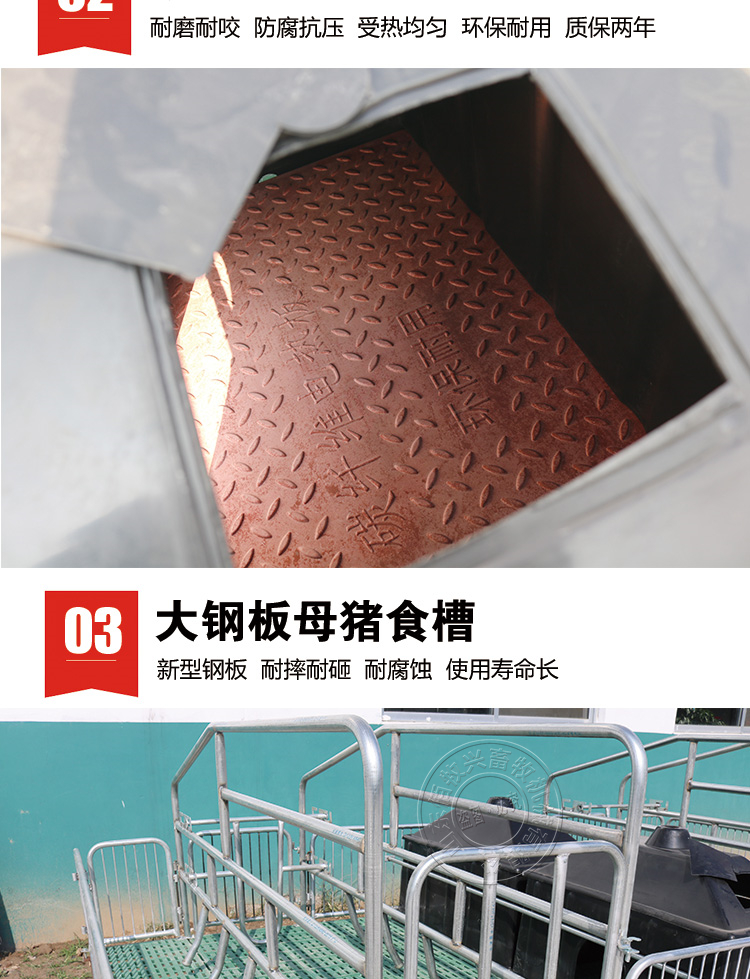 山東佰牧興全復合雙體母豬產床 