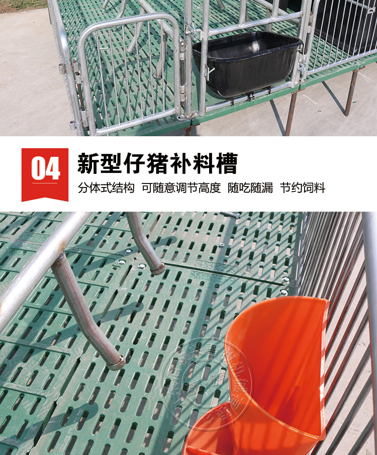 山東佰牧興全復合雙體母豬產床 
