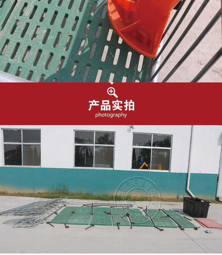 山東佰牧興全復合雙體母豬產床 