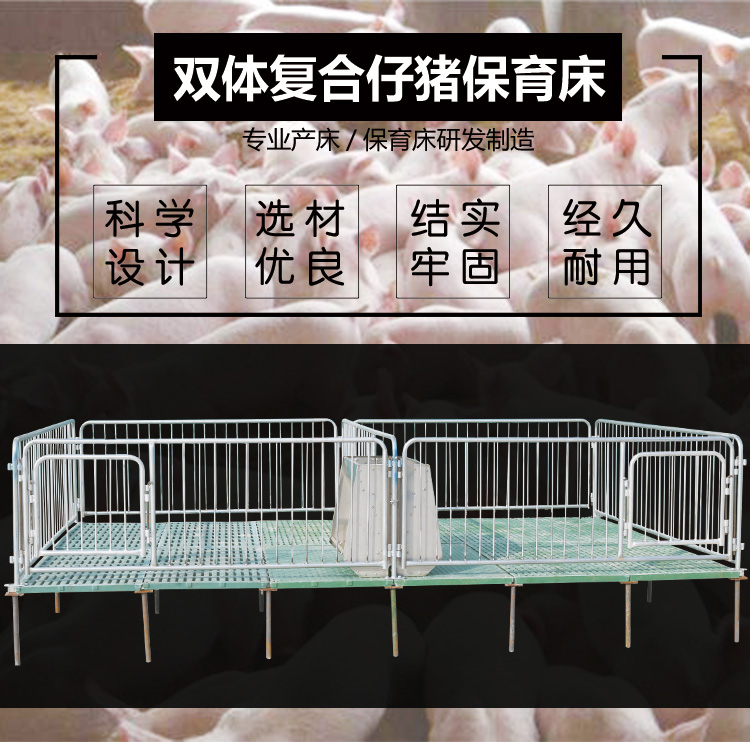 山東佰牧興雙體復合仔豬保育床 
