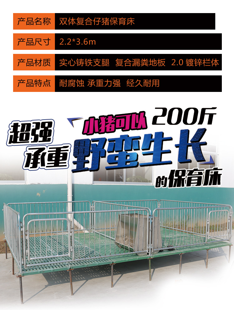 山東佰牧興雙體復合仔豬保育床 
