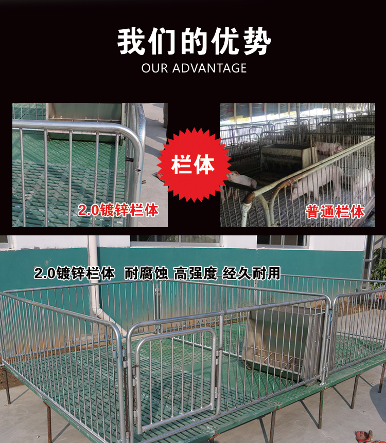 山東佰牧興雙體復合仔豬保育床 