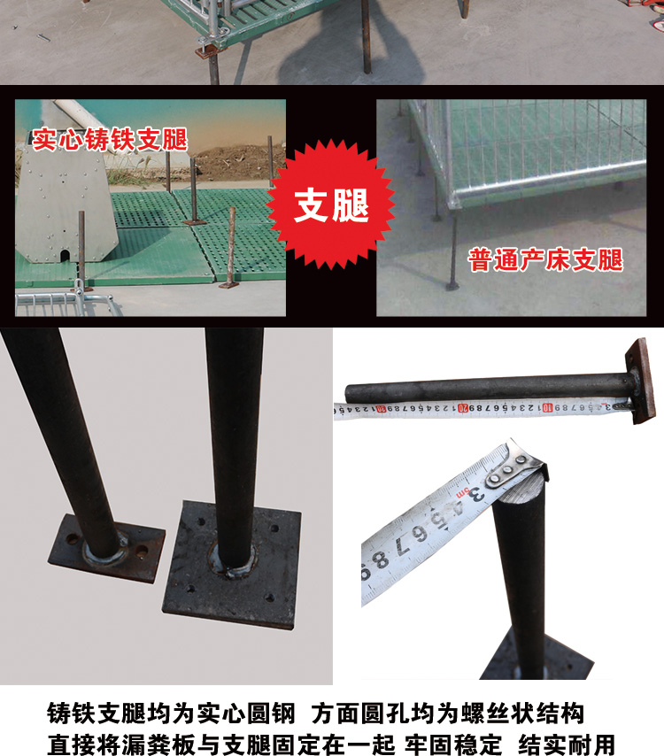 山東佰牧興雙體復合仔豬保育床 