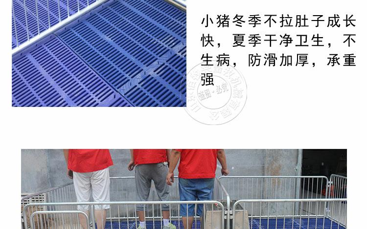 非標2.0雙體保育床