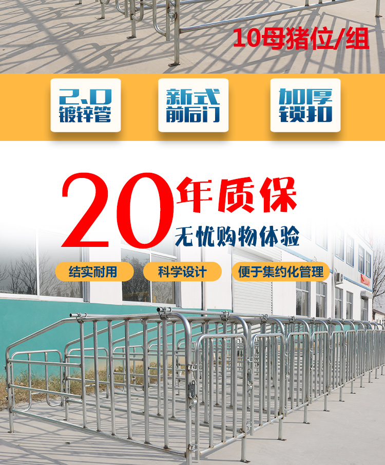 佰牧興非標2.0母豬限位欄