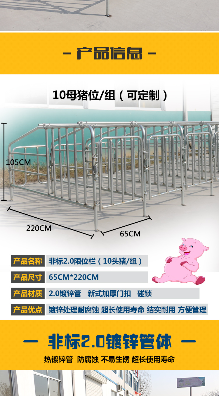 佰牧興非標2.0母豬限位欄
