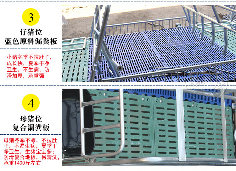 山東佰牧興國標2.5復合雙體母豬產床 