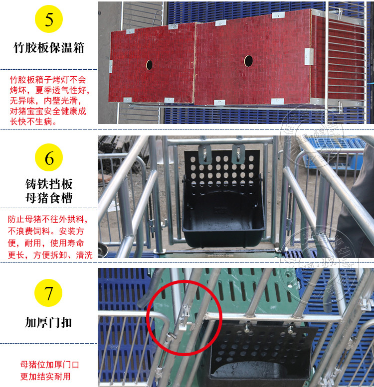 山東佰牧興國標2.5復合雙體母豬產床 