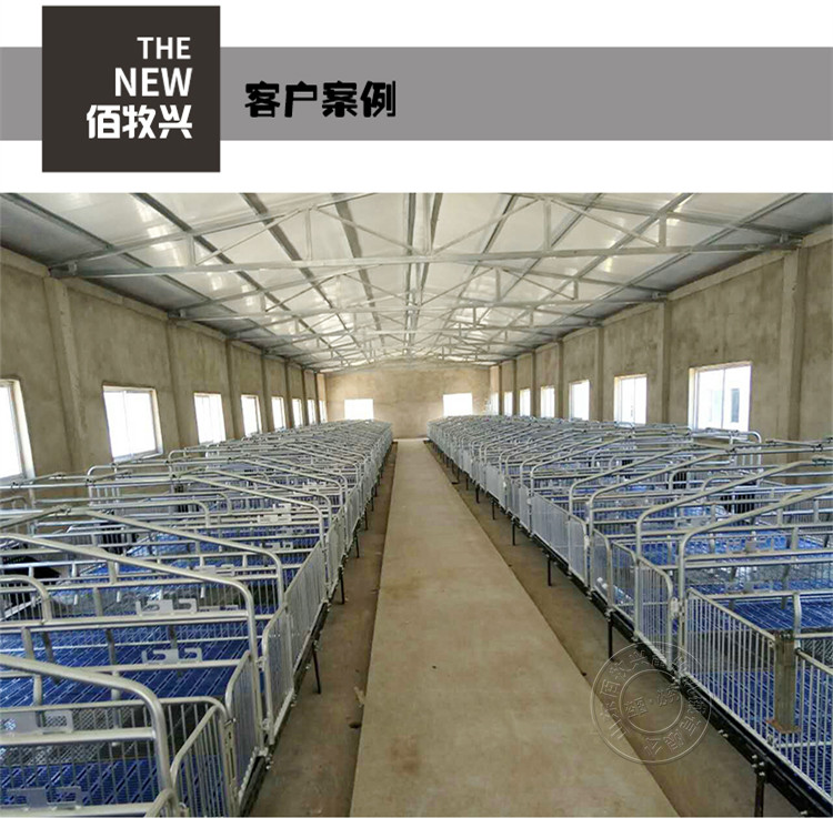 山東佰牧興國標2.5復合雙體母豬產床 