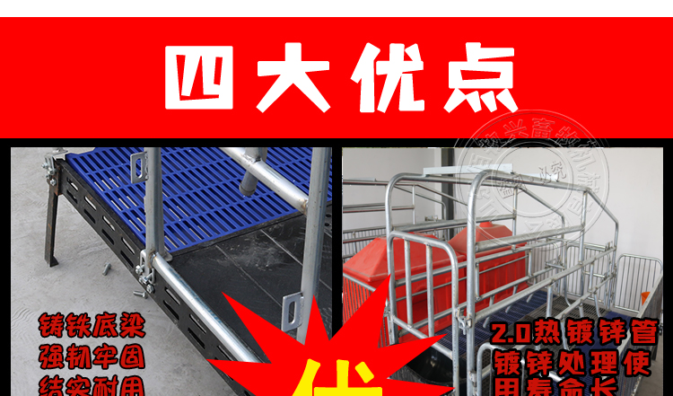 國標2.0雙體母豬產床 佰牧興母豬產床