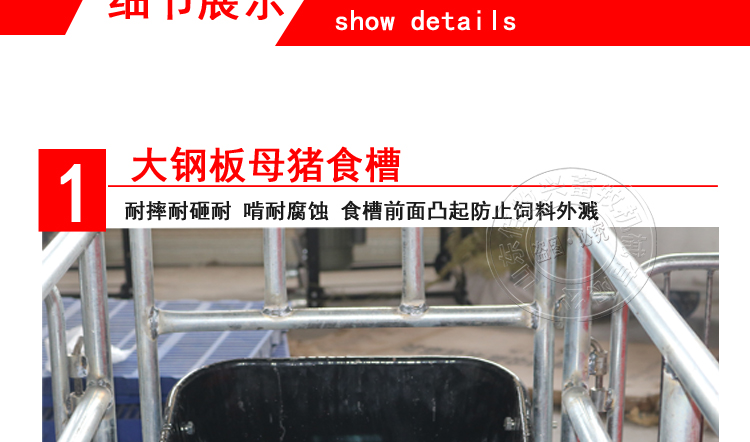 山東佰牧興國標2.0雙體母豬產床 