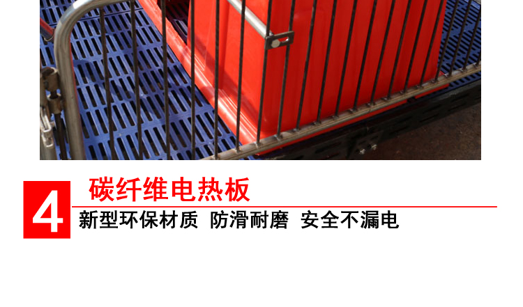 山東佰牧興國標2.0雙體母豬產床 