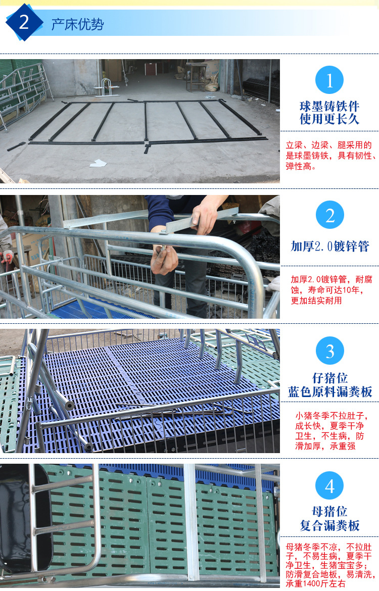 非標2.0復合雙體母豬產床