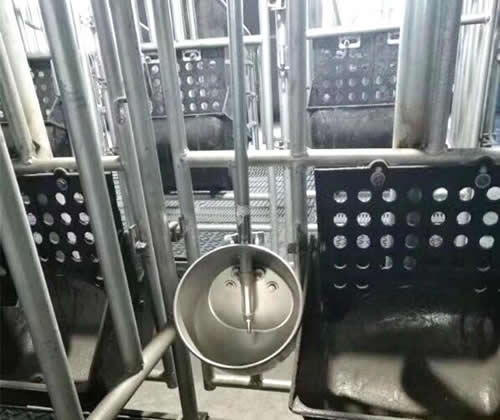佰牧興自動喂豬設備環保水碗