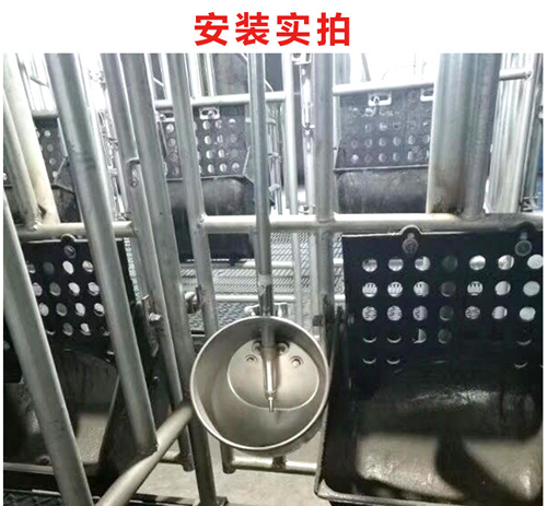 不銹鋼環保水碗
