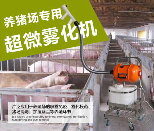 非洲豬瘟
