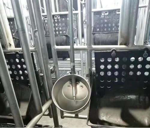 豬用自動飲水器