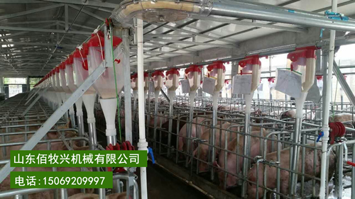養豬設備