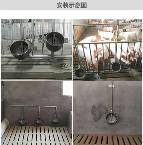 豬用不銹鋼環保水碗