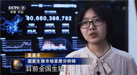豬價.jpg