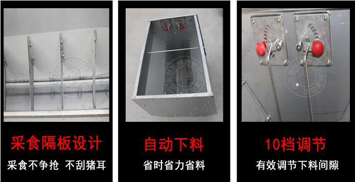 不銹鋼豬用料槽細節