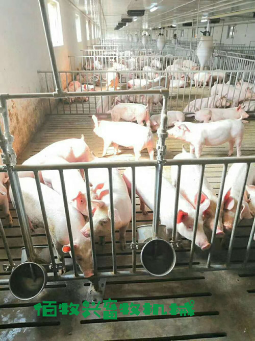 不銹鋼環保水碗