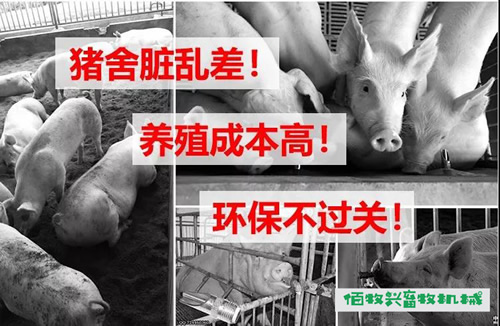 豬用環保水碗