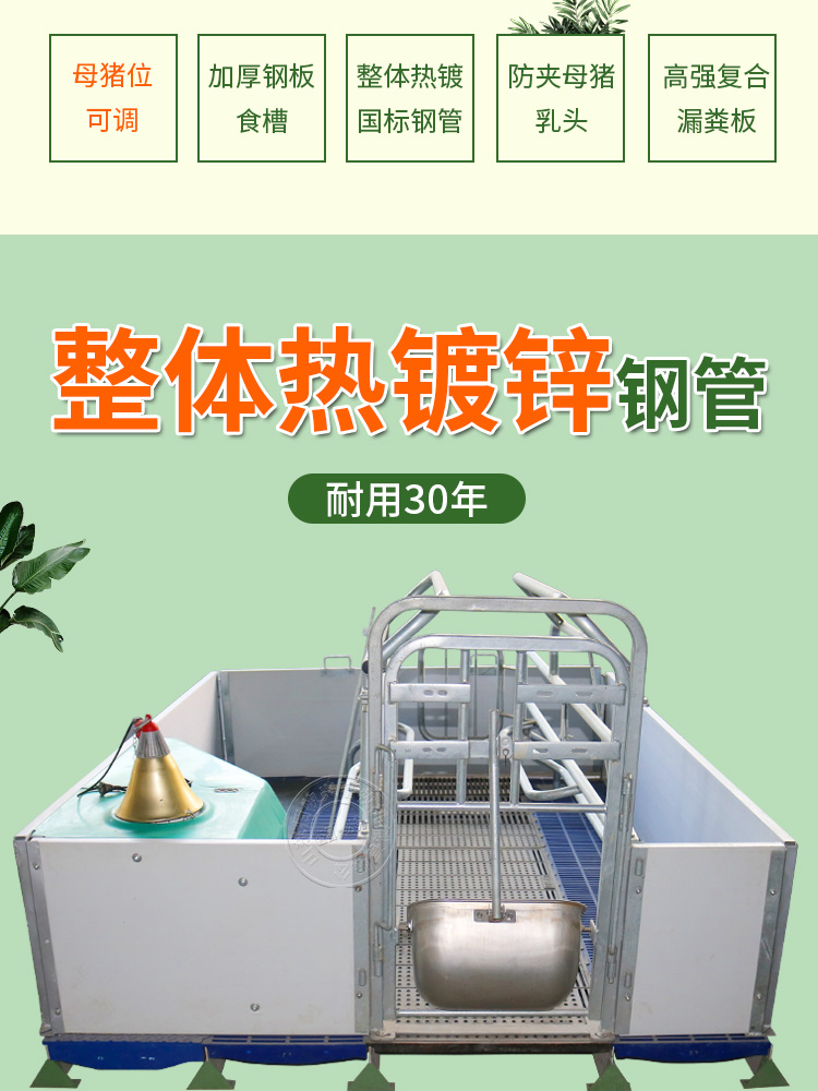 歐式母豬產床
