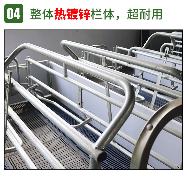 豬用產床
