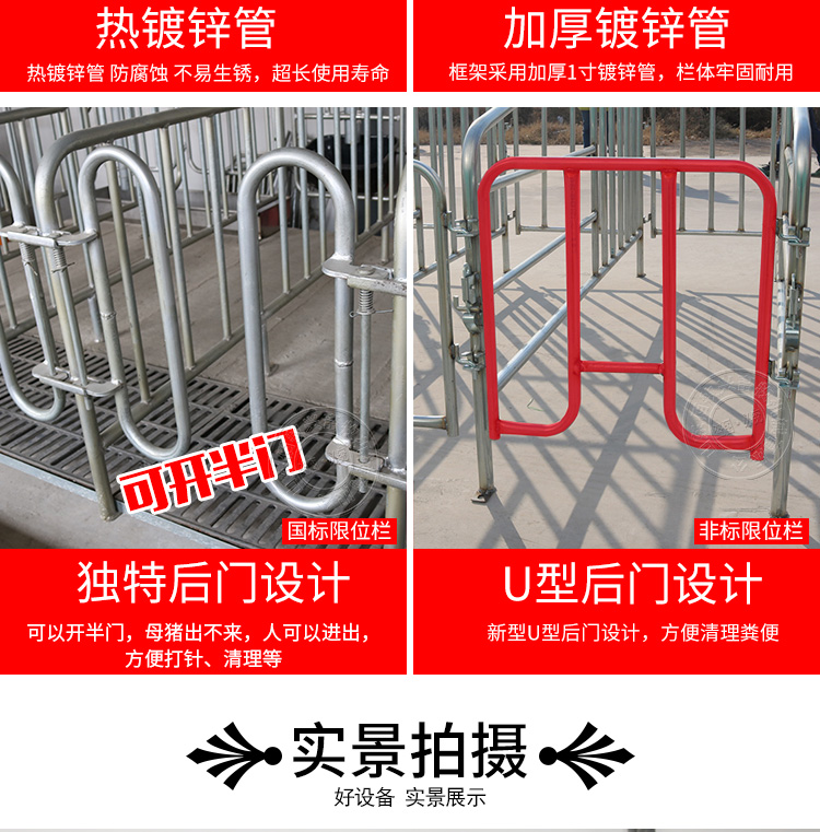 國標母豬限位欄