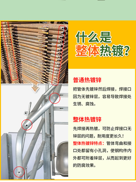 歐式母豬產床