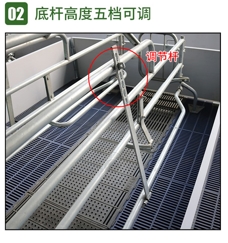 歐式母豬產床