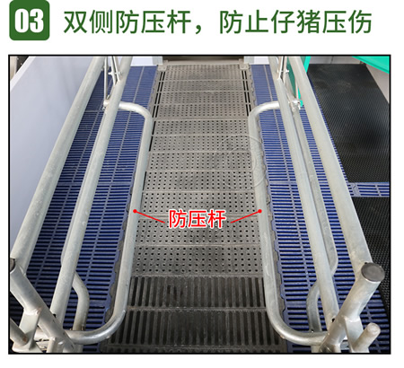 歐式母豬產床