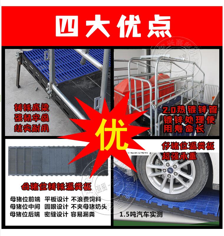 母豬產床