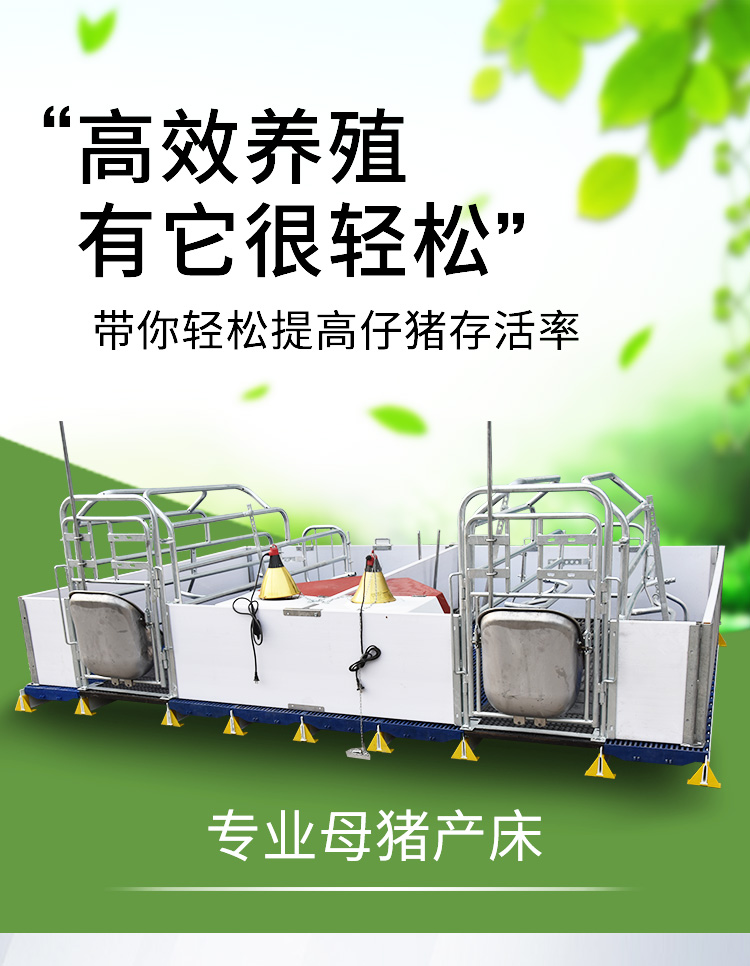 雙體歐式母豬產床