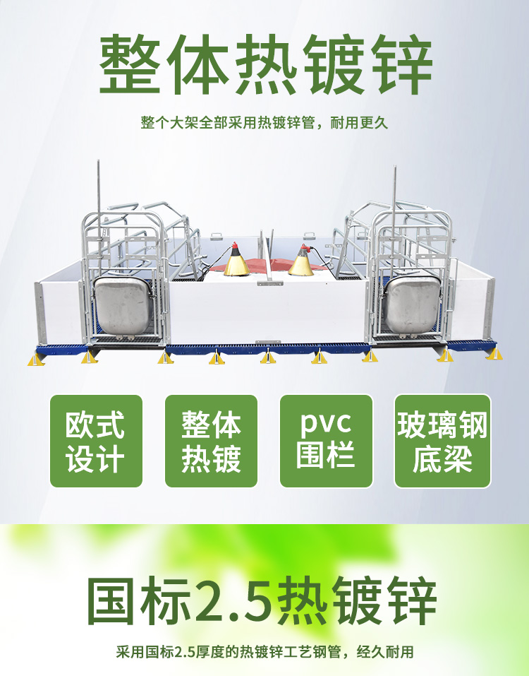 雙體歐式母豬產床