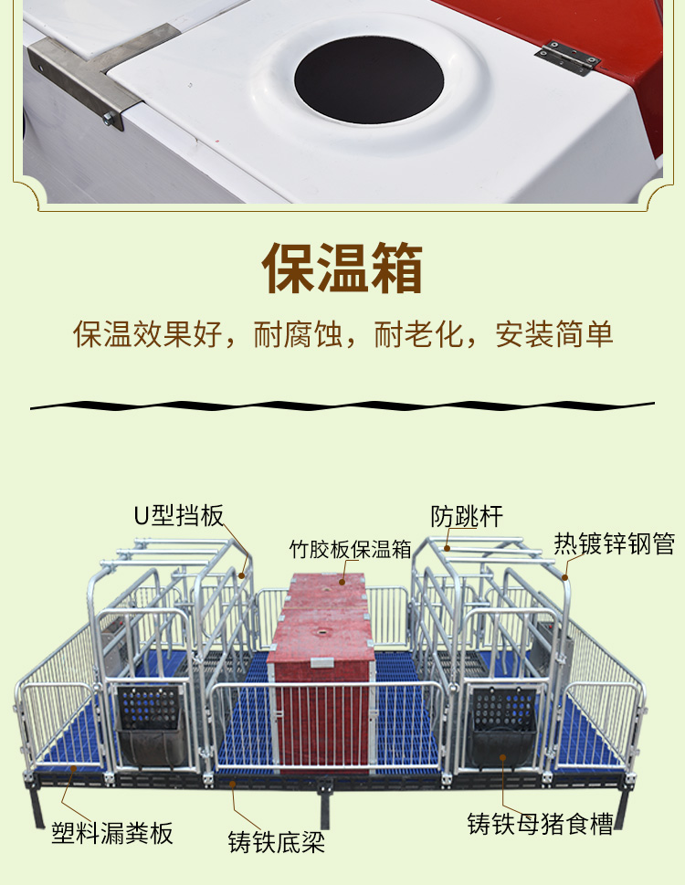 雙體母豬產床